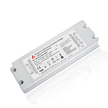 220V Triac Dim Driver 60W (taille standard)